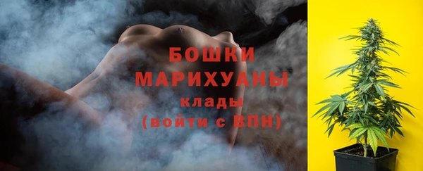 ПСИЛОЦИБИНОВЫЕ ГРИБЫ Протвино