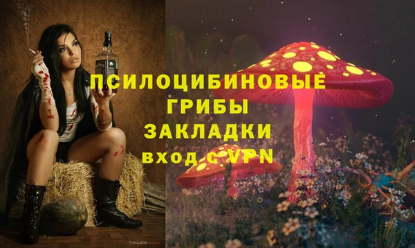 ECSTASY Алзамай