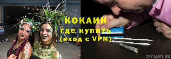 ECSTASY Алзамай