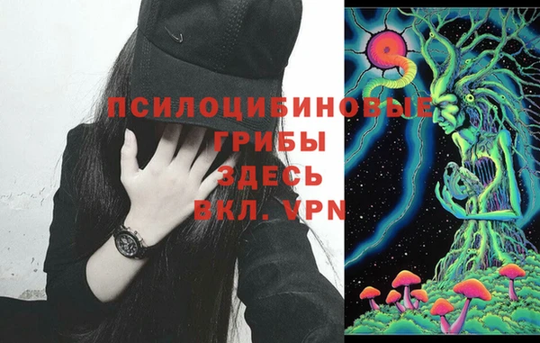 ECSTASY Алзамай