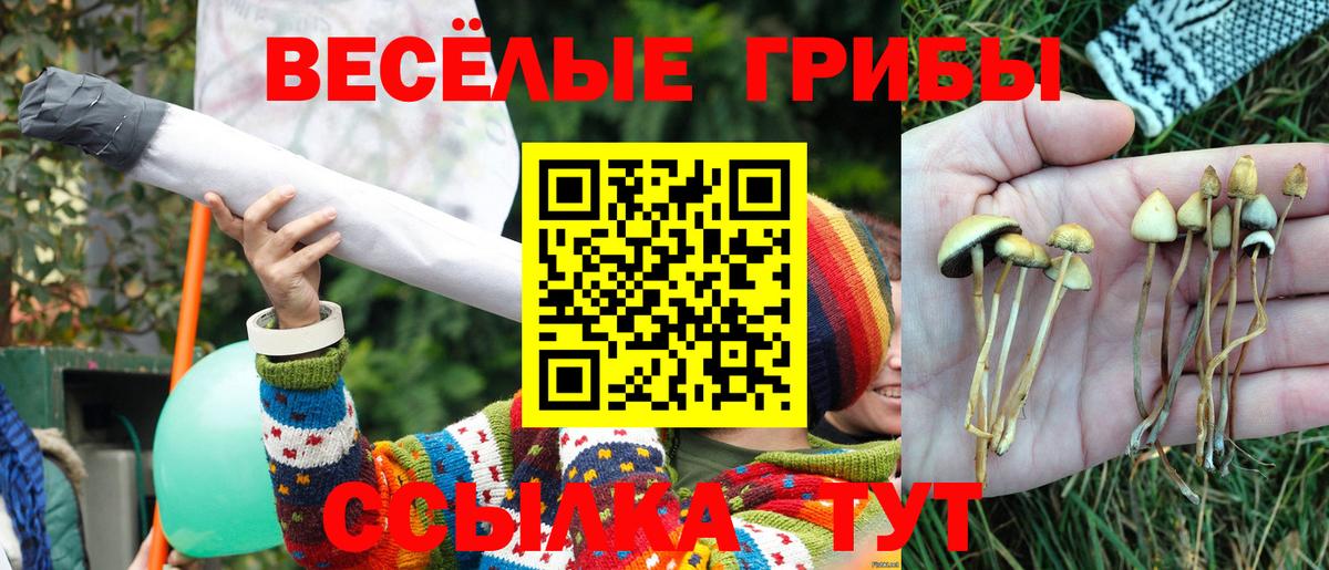 Псилоцибиновые грибы прущие грибы  Вход с VPN  Балабаново 