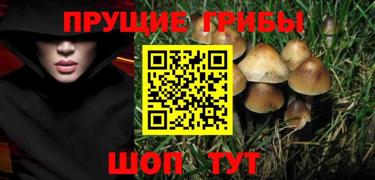 Псилоцибиновые грибы Балабаново
